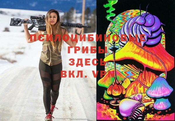 бошки Краснослободск